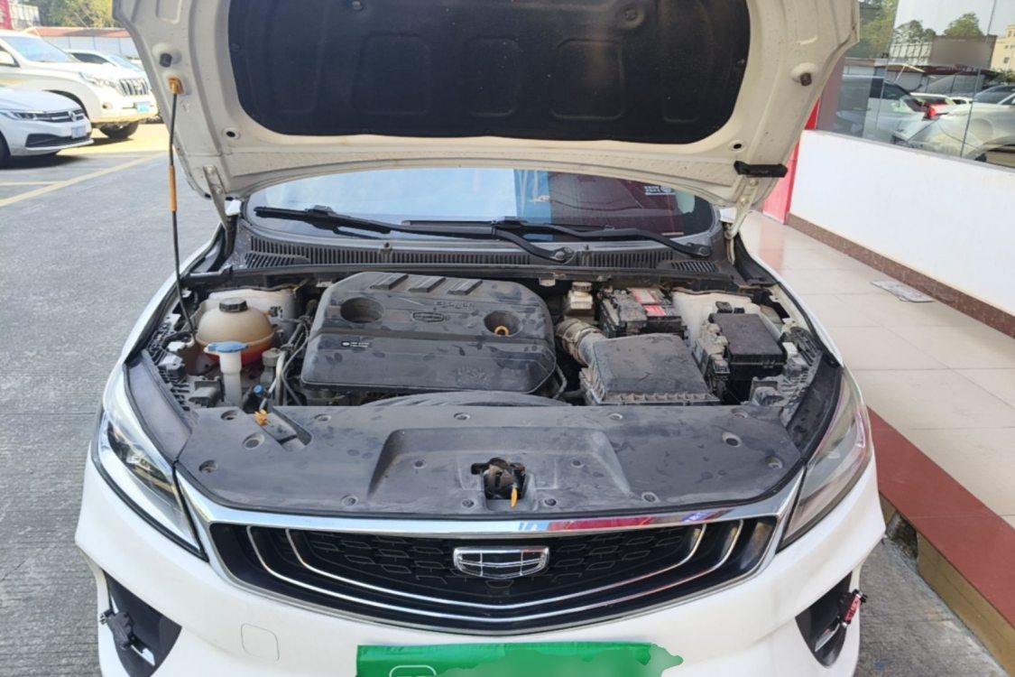 GEELY Binray 2020 #10 GEELY Binray 2020 immagine di auto #10