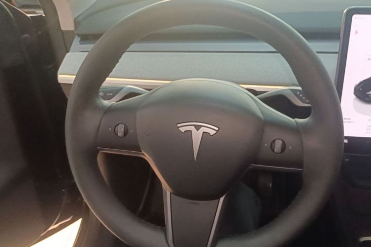 Tesla Model Y 2023 car image #11