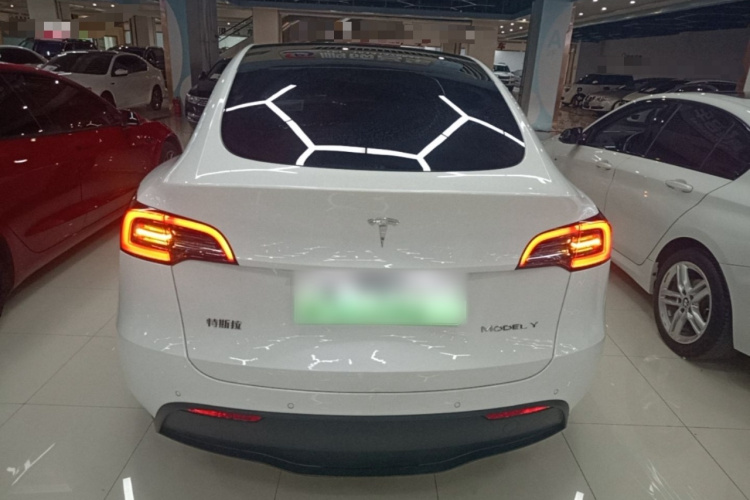 Tesla Model Y 2022 #6 Tesla Model Y 2022 car image #6