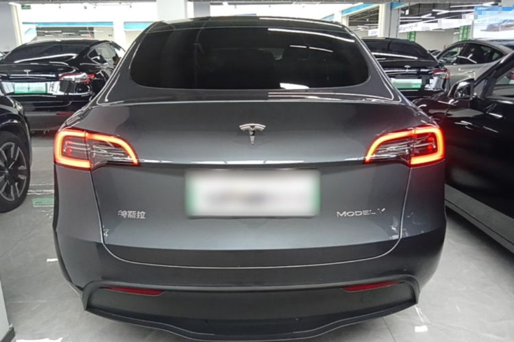 Tesla Model Y 2023 car image #6