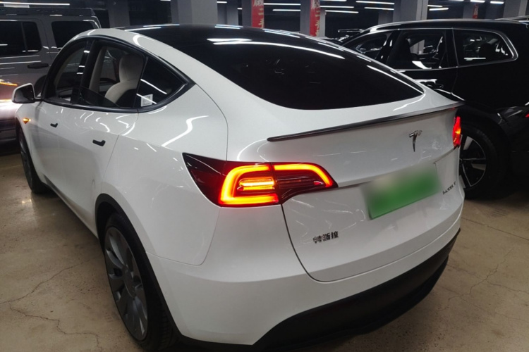 Tesla Model Y 2021 car image #7