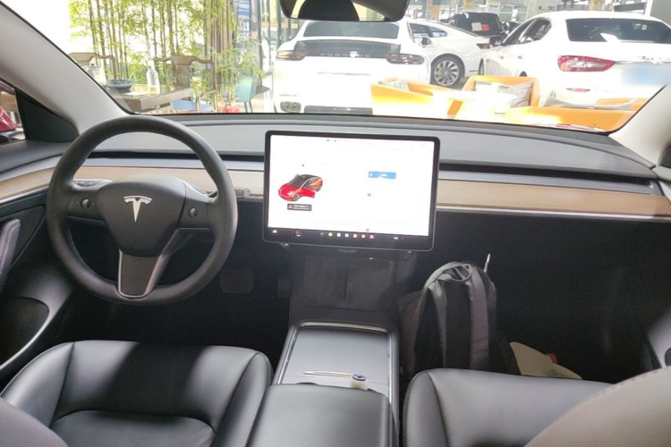 Tesla Model 3 2020 car image #11