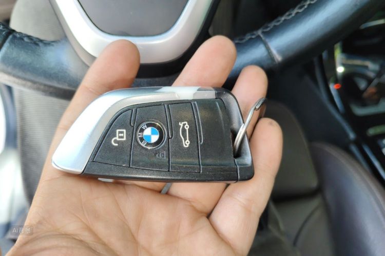 BMW X1 New Energy 2019 car image #10