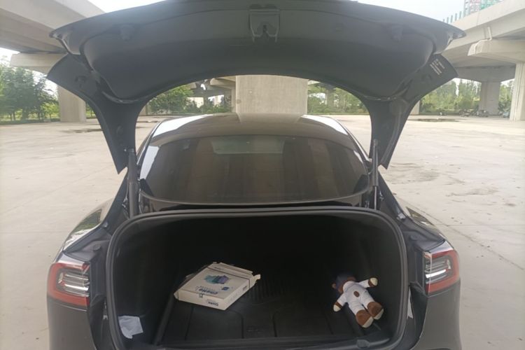 Tesla Model 3 2021 #19 Tesla Model 3 2021 car image #19