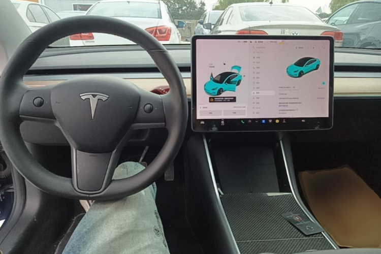 Tesla Model 3 2020 #10 Tesla Model 3 2020 изображение автомобиля #10