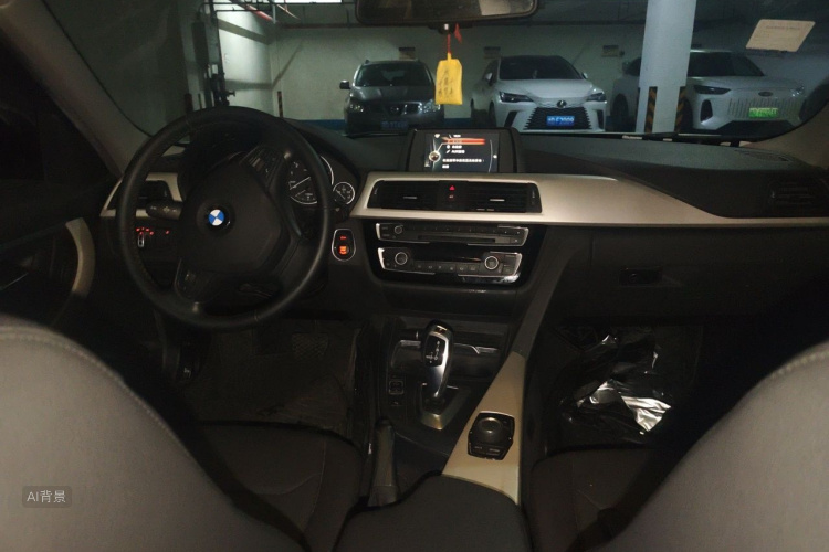 BMW 3 Series 2016 car image #11