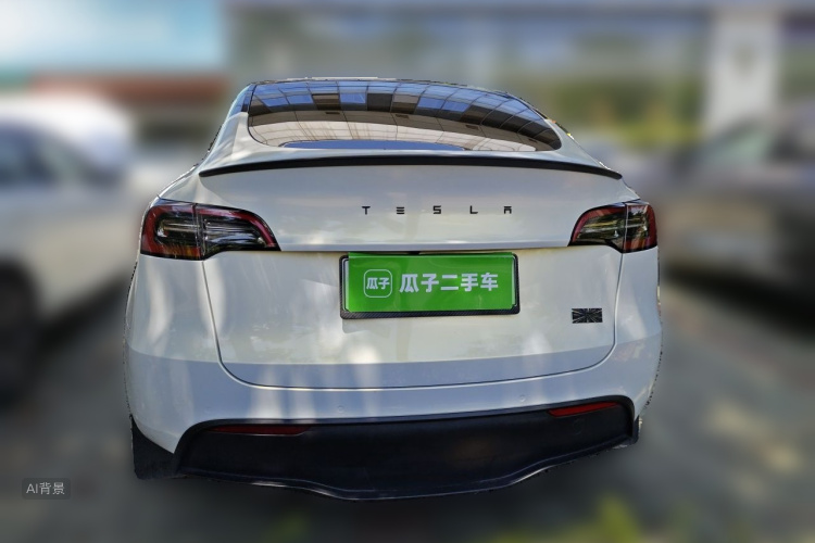 Tesla Model Y 2023 car image #6