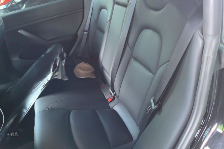 Tesla Model 3 2021 car image #19