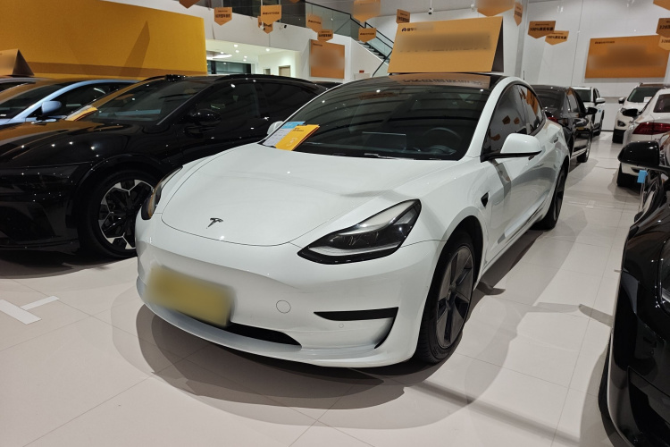Tesla Model 3 2021 immagine di auto #2