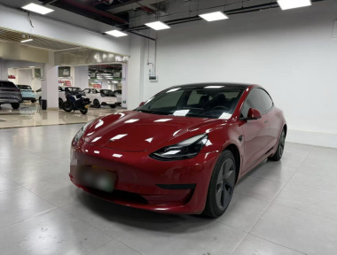 Tesla Model 3 2022 car image 