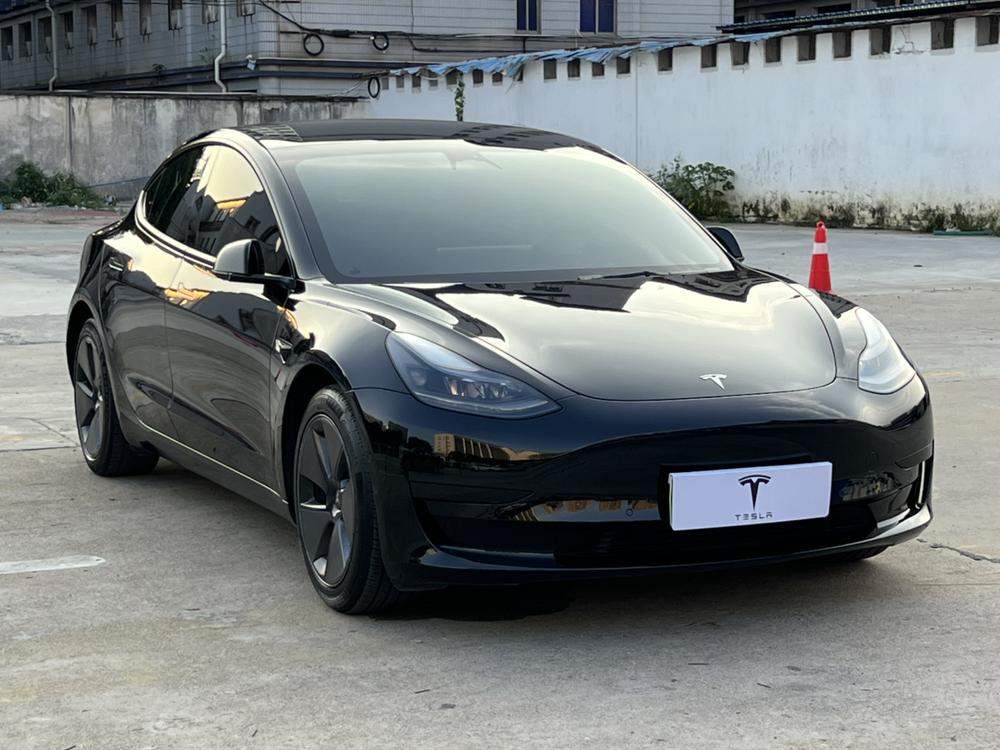 Tesla Model 3 2022 #3 Tesla Model 3 2022 car image #3