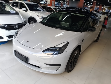 Tesla Model 3 2022 Tesla Model 3 2022 immagine di auto
