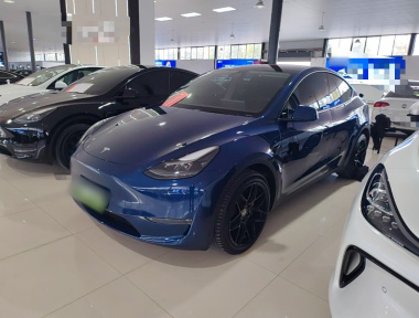 Tesla Model Y 2022 immagine di auto 