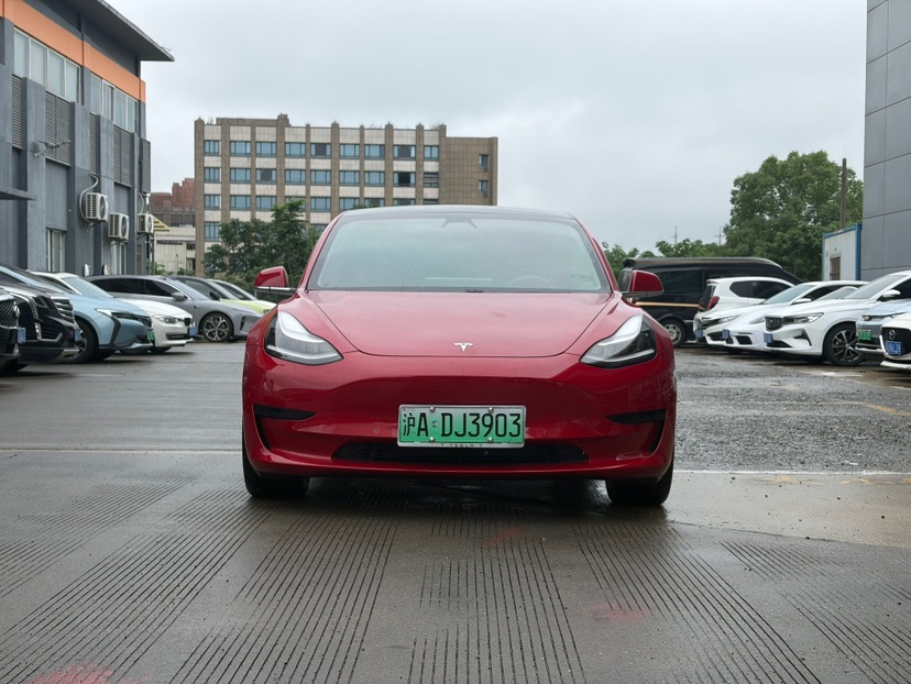 Tesla Model 3 2020 #3 Tesla Model 3 2020 car image #3