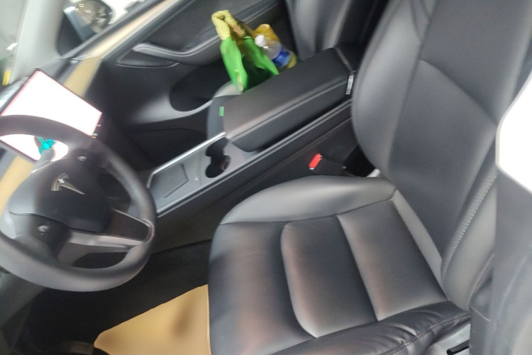 Tesla Model Y 2021 #15 Tesla Model Y 2021 car image #15