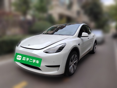 Tesla Model Y 2022 Tesla Model Y 2022 car image