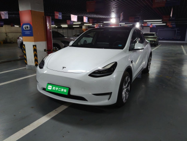 Tesla Model Y 2021 Tesla Model Y 2021 car image