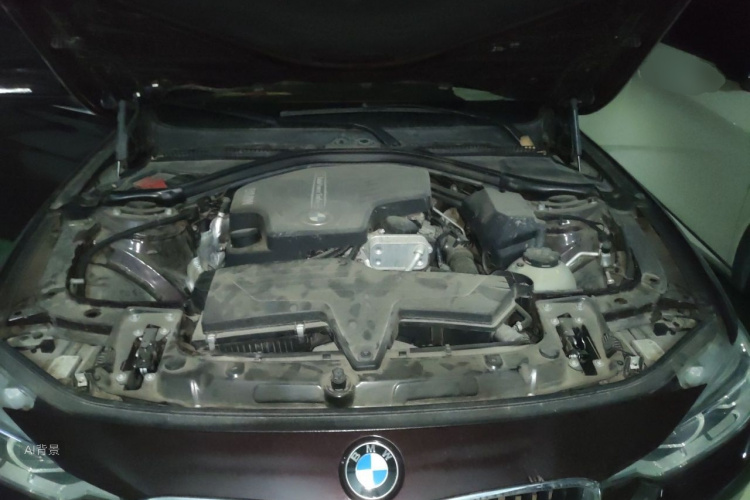 BMW 3 Series 2016 car image #22