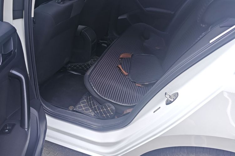 Volkswagen Bora 2021 car image #19