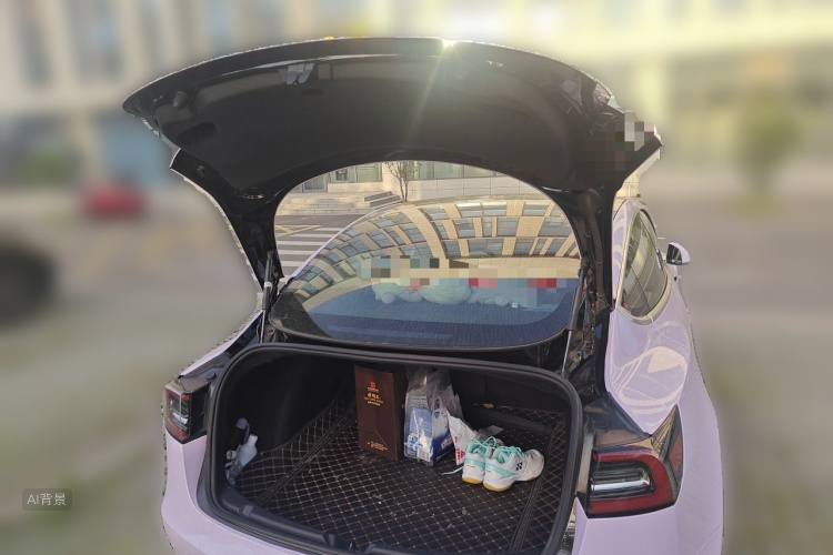 Tesla Model 3 2020 car image #21
