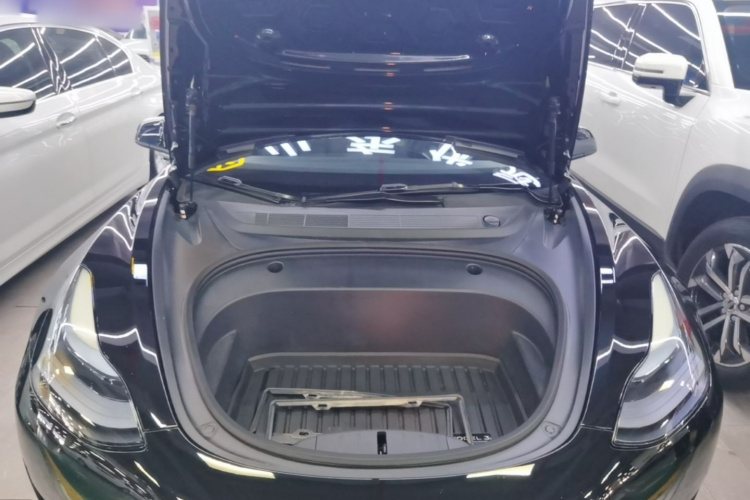 Tesla Model 3 2023 car image #22