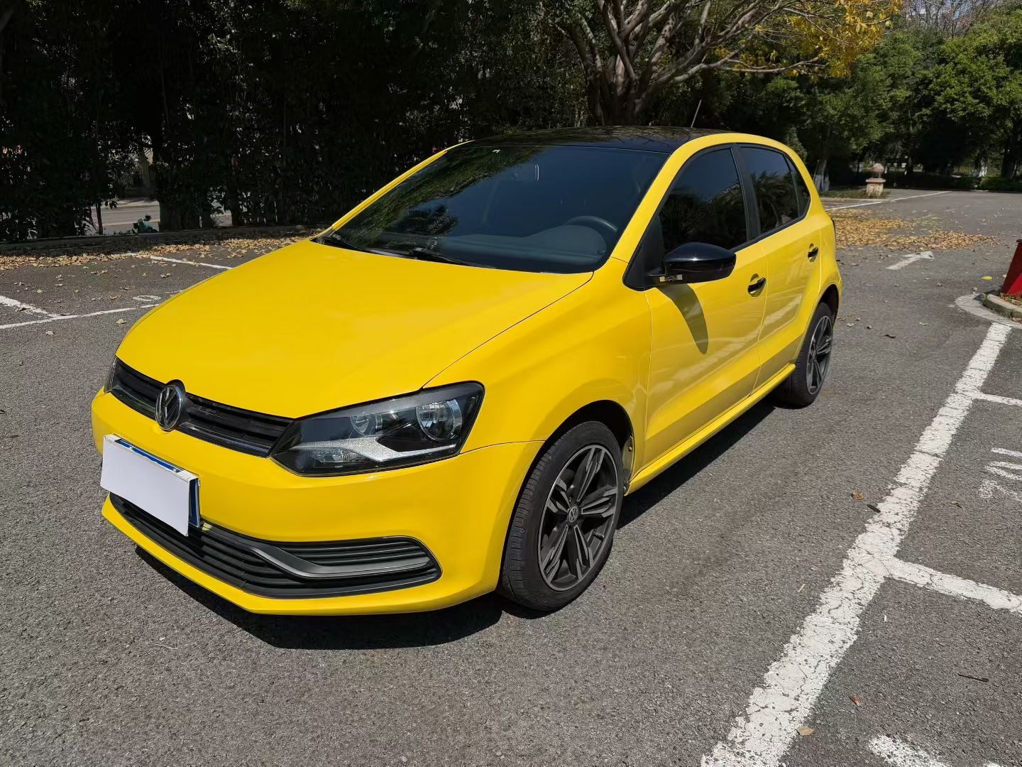 Volkswagen Polo 2015 car image 