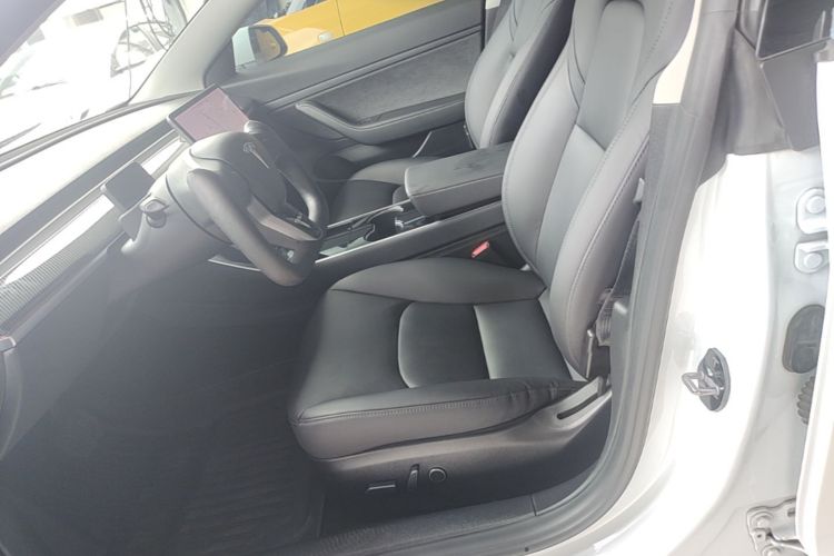 Tesla Model 3 2020 car image #15
