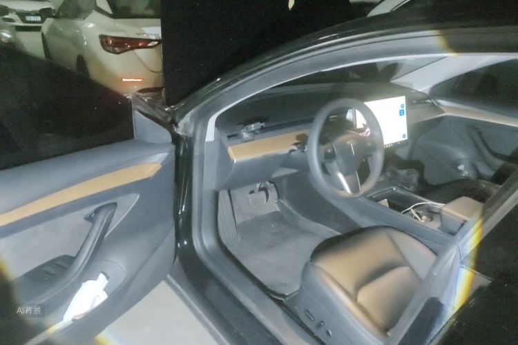 Tesla Model 3 2022 immagine di auto #18