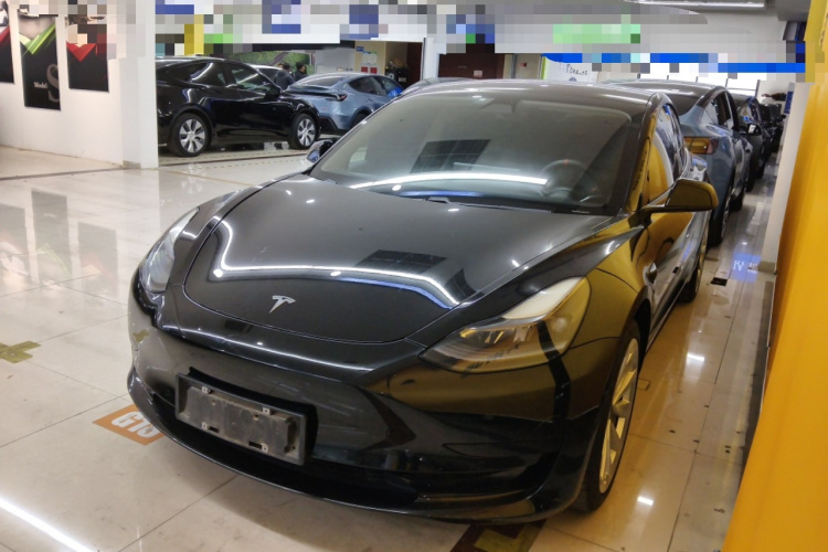 Tesla Model 3 2021 #2 Tesla Model 3 2021 car image #2