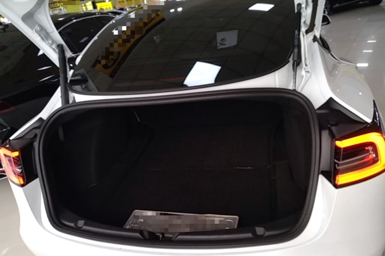 Tesla Model 3 2021 #19 Tesla Model 3 2021 car image #19