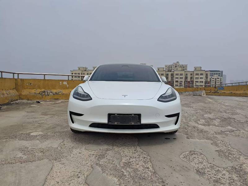 Tesla Model 3 (Imported) 2019 #2 Tesla Model 3 (Imported) 2019 car image #2