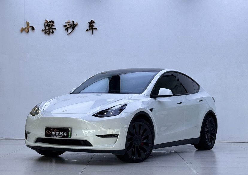 Tesla Model Y 2023 Tesla Model Y 2023 car image