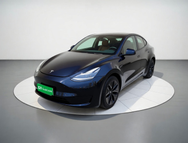 Tesla Model Y 2023 Tesla Model Y 2023 car image