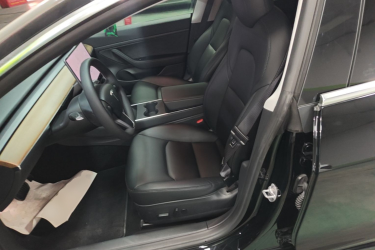 Tesla Model 3 2020 car image #15