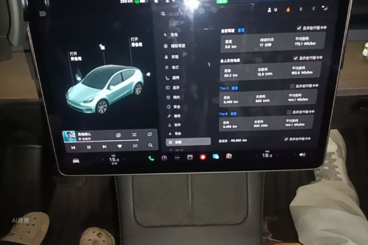 Tesla Model Y 2021 car image #15