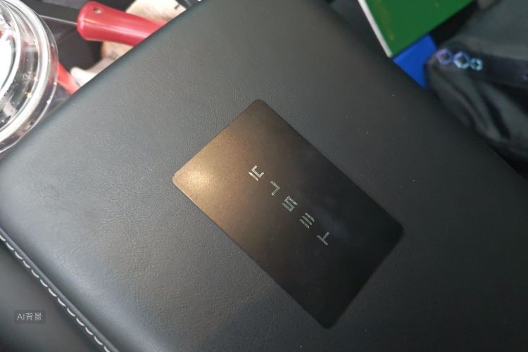 Tesla Model Y 2021 car image #10