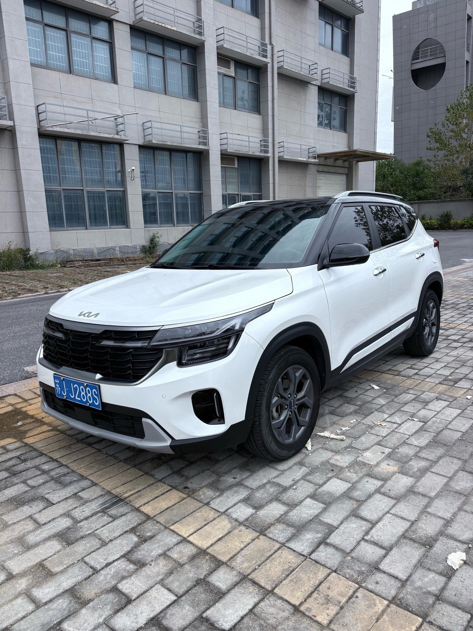 Kia Seltos 2024 Kia Seltos 2024 car image