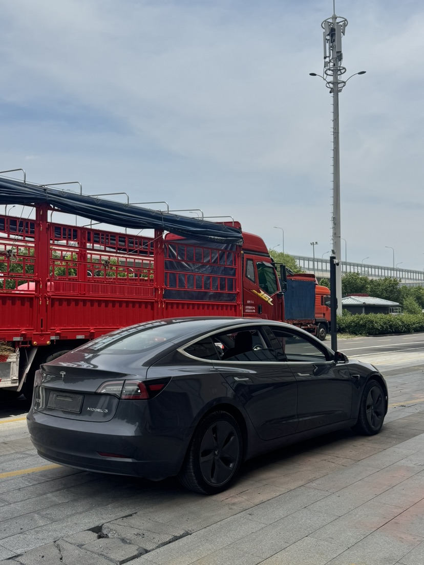 Tesla Model 3 2020 car image #9