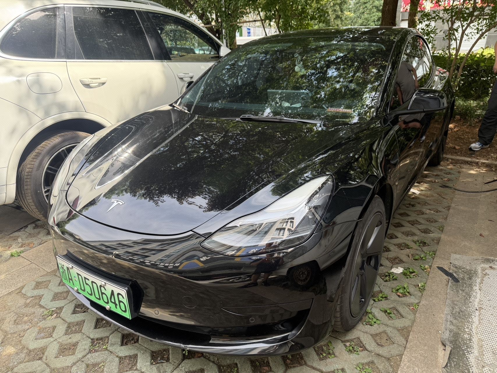 Tesla Model 3 2022 Tesla Model 3 2022 car image