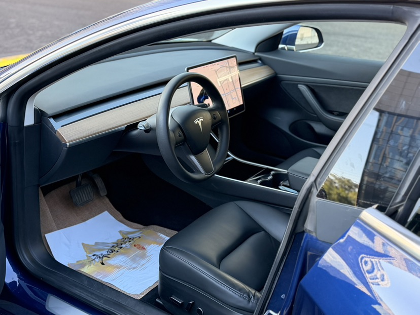Tesla Model 3 2021 #9 Tesla Model 3 2021 car image #9