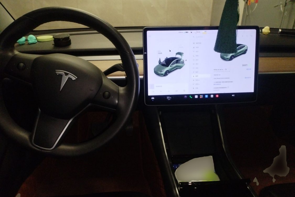 Tesla Model 3 2020 car image #21