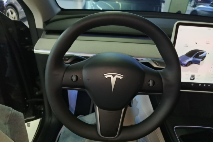 Tesla Model Y 2024 #11 Tesla Model Y 2024 صورة سيارة #11