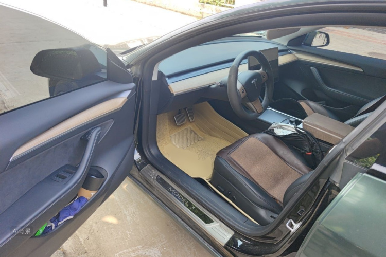 Tesla Model 3 2022 immagine di auto #18