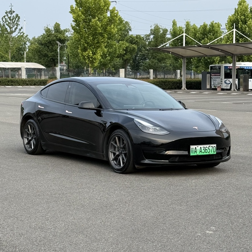 Tesla Model 3 2021 Tesla Model 3 2021 car image