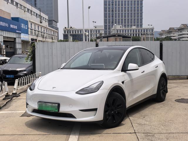 Tesla Model Y 2024 car image #16