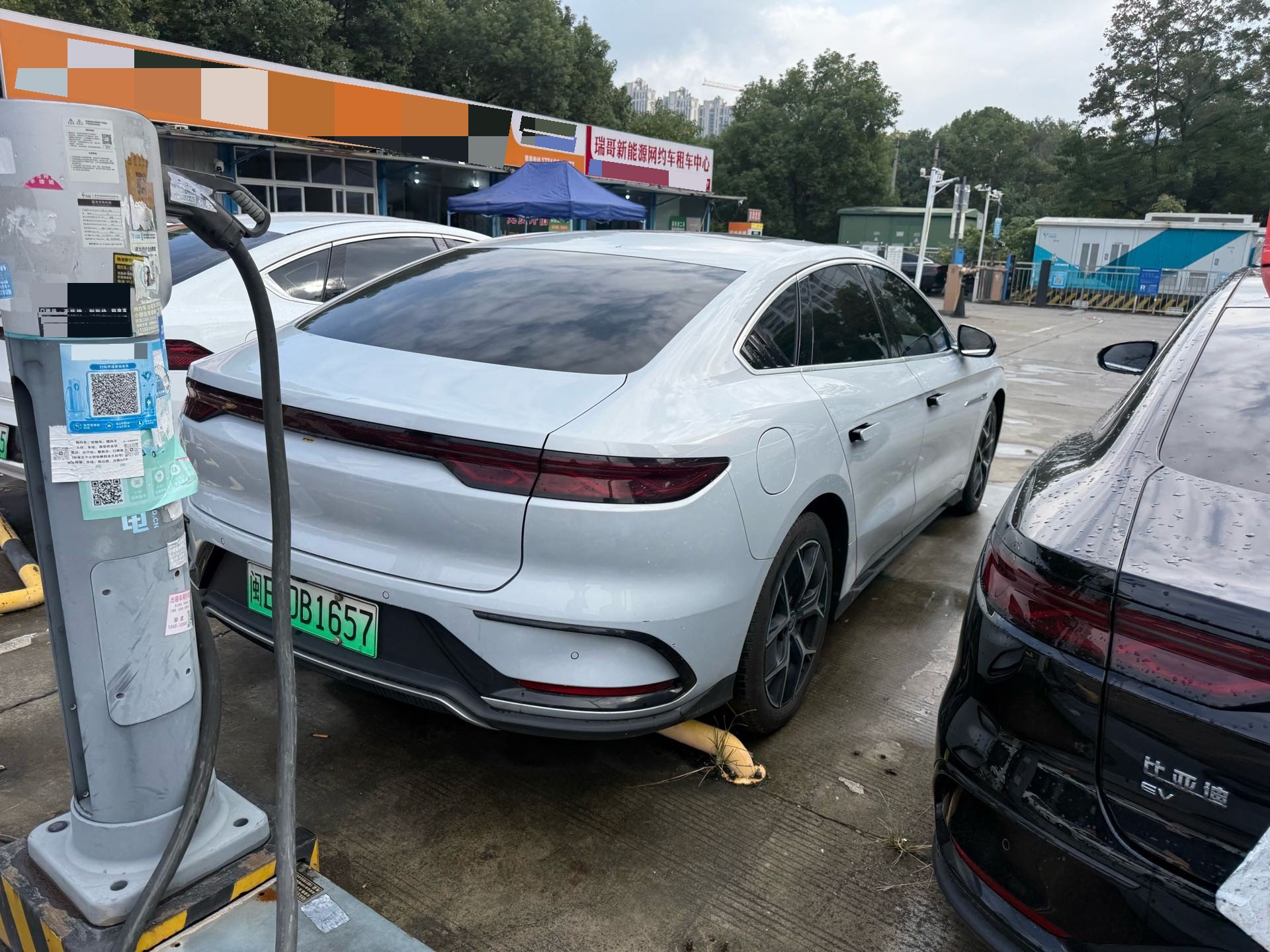 BYD Han 2024 صورة سيارة #4