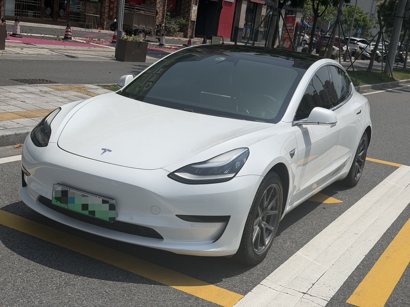 Tesla Model 3 2020 Tesla Model 3 2020 car image
