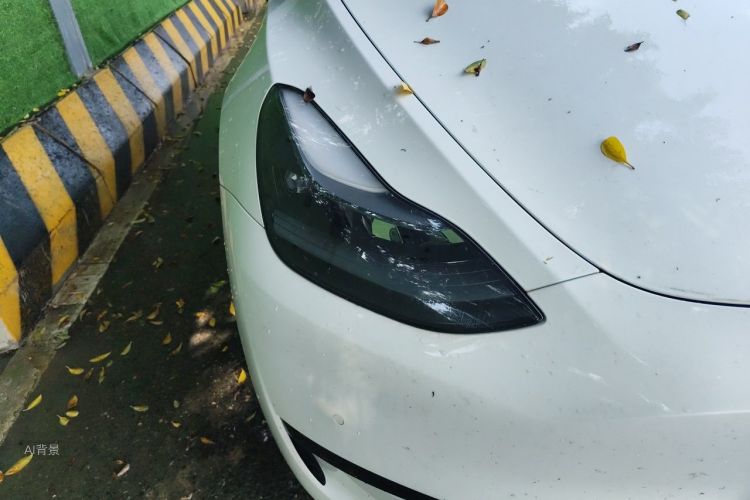 Tesla Model Y 2022 #8 Tesla Model Y 2022 car image #8