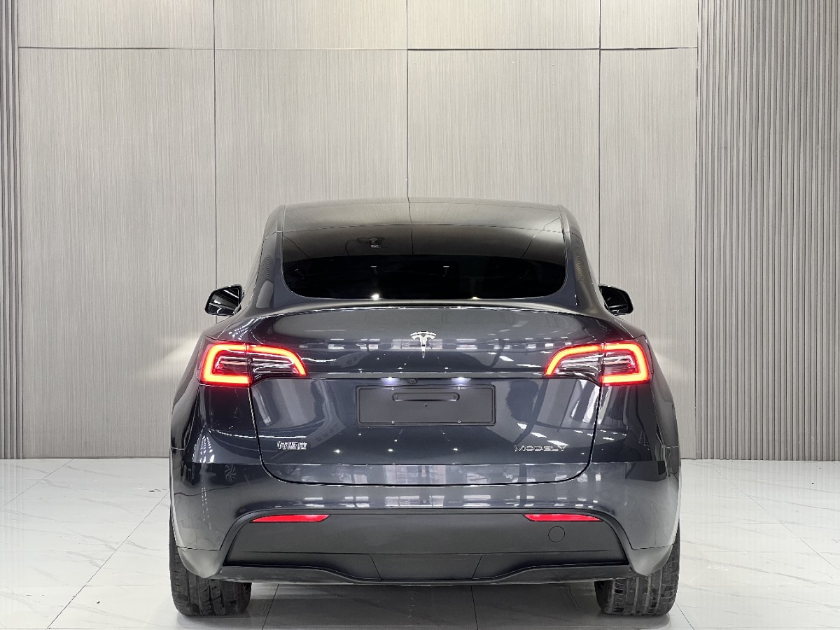 Tesla Model Y 2025 #9 Tesla Model Y 2025 car image #9