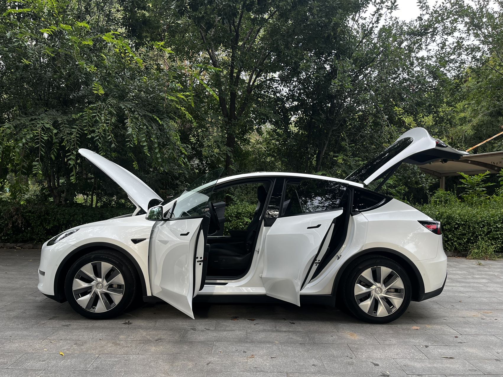 Tesla Model Y 2021 #6 Tesla Model Y 2021 car image #6